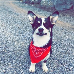 Meet your Posher, Karlee